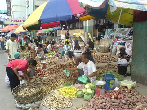 Root Crops Grown in the Philippines .